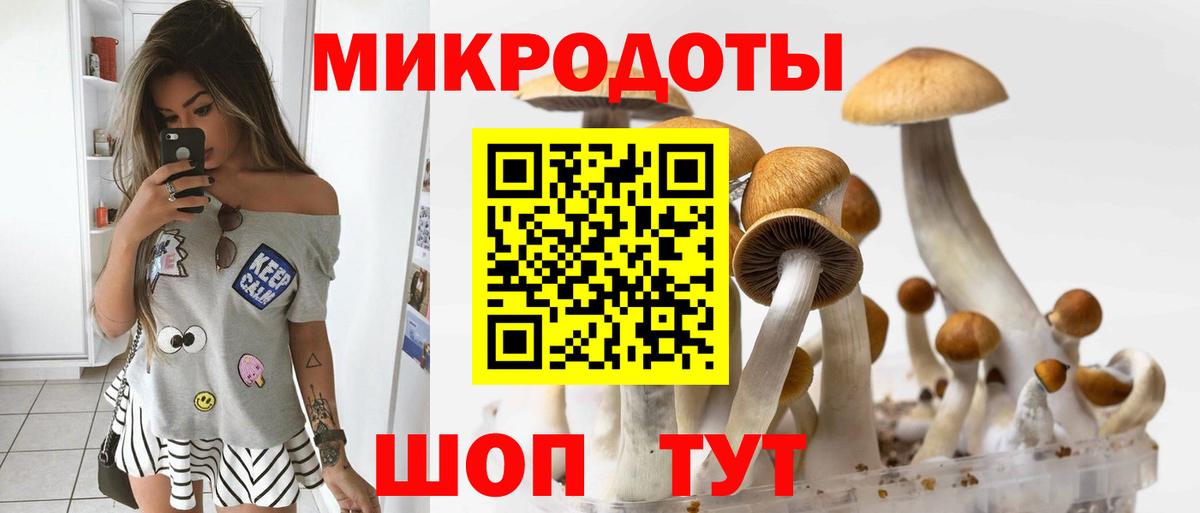 Галлюциногенные грибы GOLDEN TEACHER  Псилоцибиновые грибы Psilocybe  Ялта  Вход с VPN 
